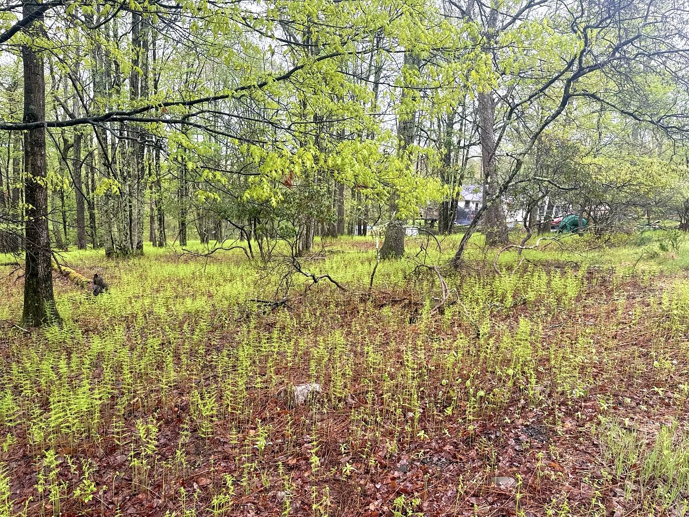 1 Acre Lot In The Poconos