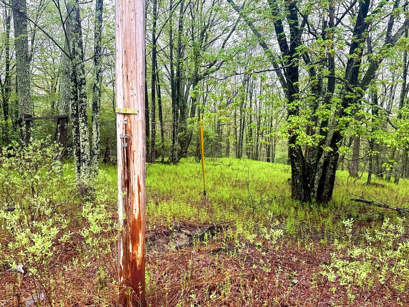 1 Acre Lot In The Poconos