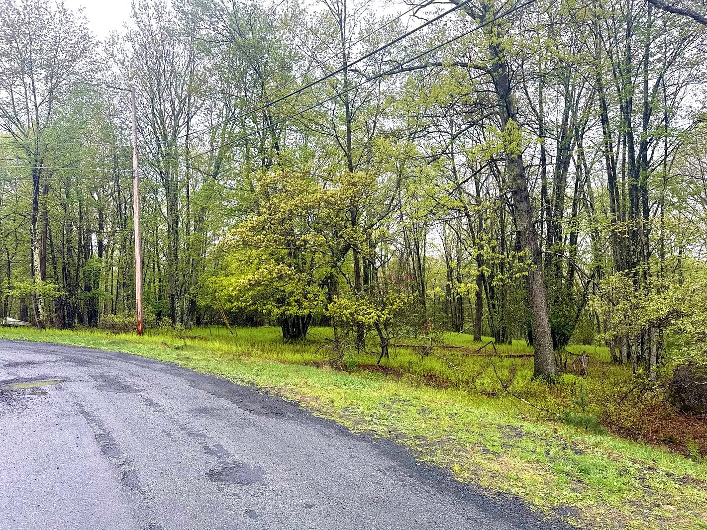 1 Acre Lot In The Poconos