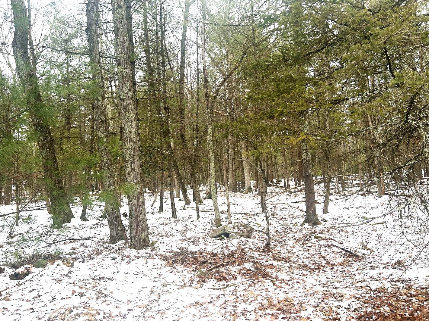 2 Acre land - Poconos